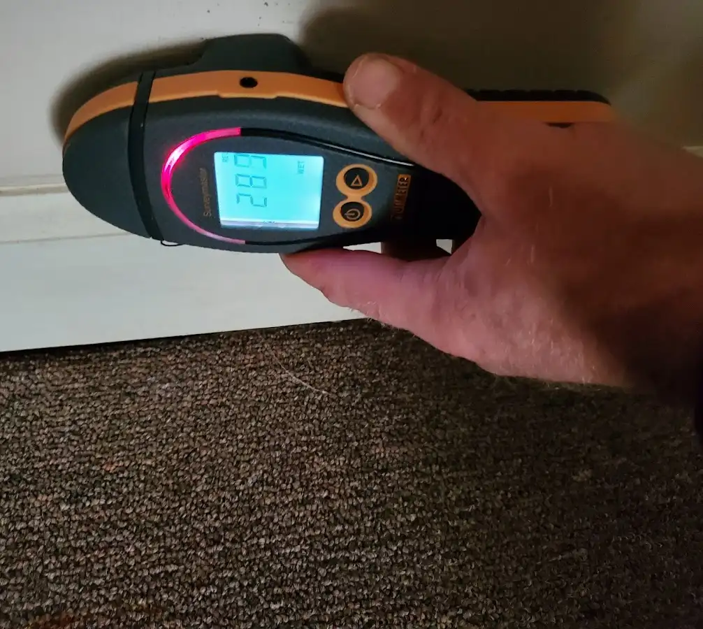 Moisture detection at baseboard during Sewage Cleanup & Sanitation in Pineville